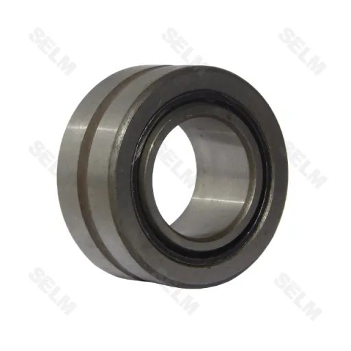 RNA4904-2RS (25x37x17) SKF Підшипник