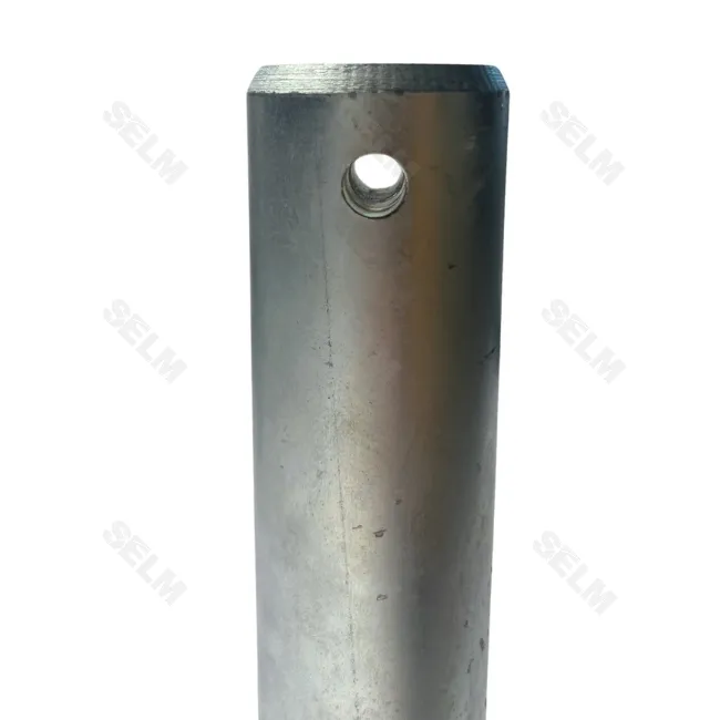 Палець D=50 L=200 GASPARDO (Аналог)