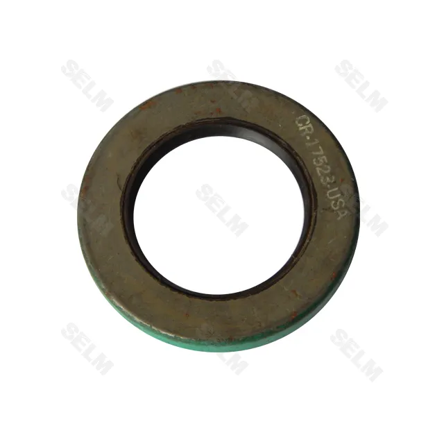 Ущільнення SKF Case