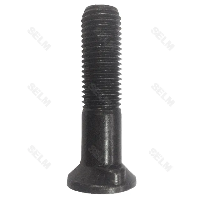 Болт М20*85 круг.гол.2-ус ISO/DIS 5713