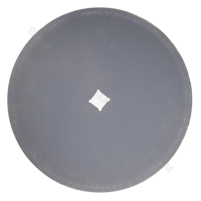 Диск гладкий 510 GREGOIRE BESSON/WILL RICH - SMART PART