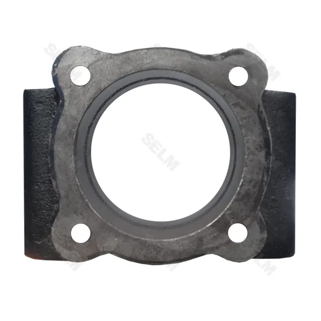 Корпус підшипника чавунний GREGOIRE BESSON - SMART PART