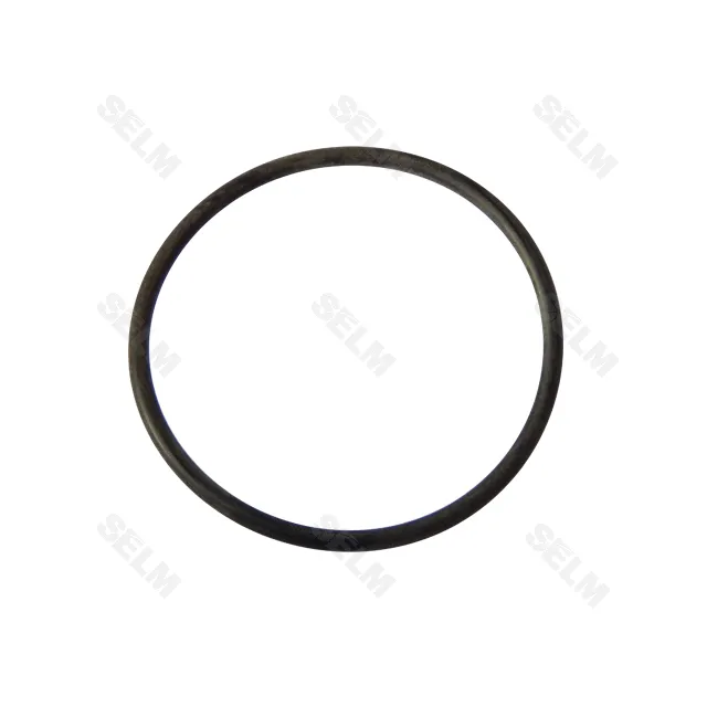 Ущільнення 24X2,5 -N Claas