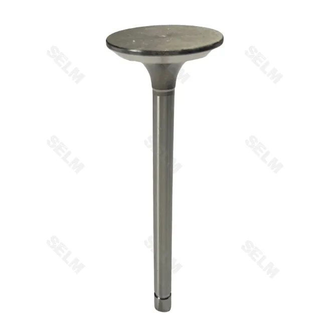 Клапан впускний вел. Т-40 (в-во АМР; Польща)