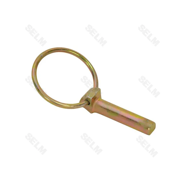 Штифт 10 GREGOIRE BESSON