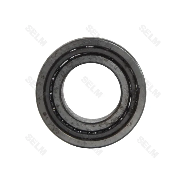 NA4902 (15x28x14) INA Підшипник