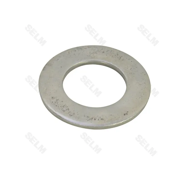 Шайба GREGOIRE BESSON