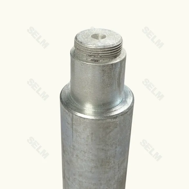 Палець D50/160*244 D35/M30*1,5 Lemken