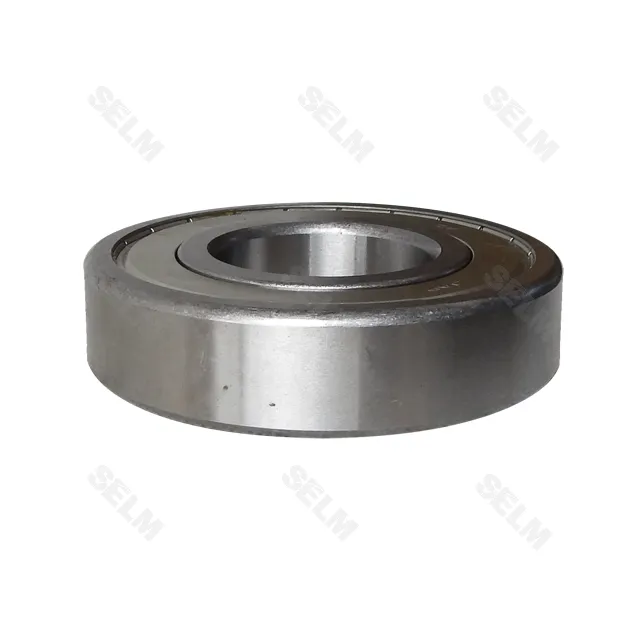 6311-2Z (55x120x29) CX