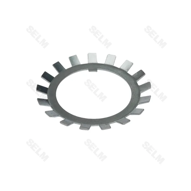 Шайба фіксуюча LEMKEN