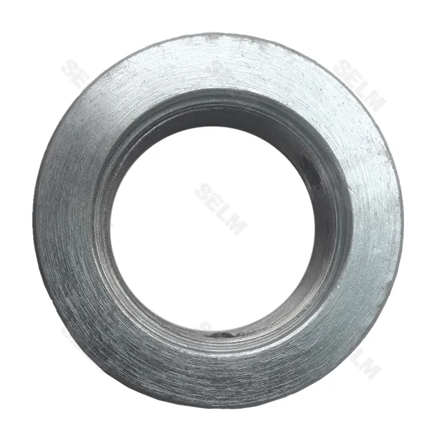 Гайка вала 55*2 Vogel & Noot