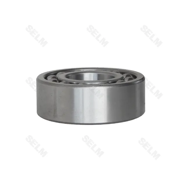 1609 підшипник