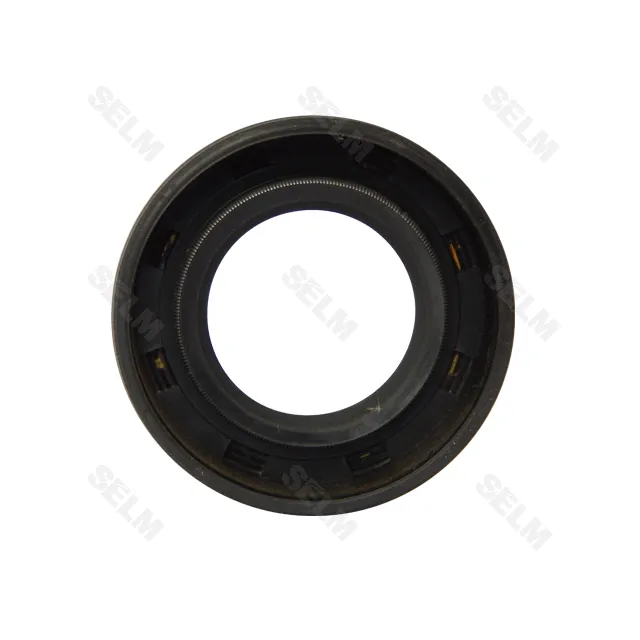 Сальник 22х40-10 (Dichtomatik)