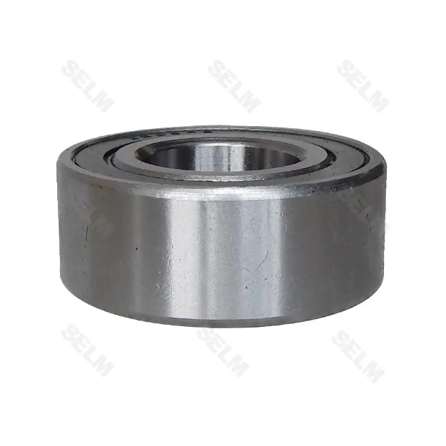 Підшипник SLAVIA