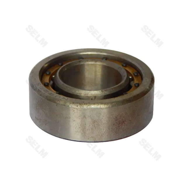 NU2205ECP (25x52x18) SKF Підшипник