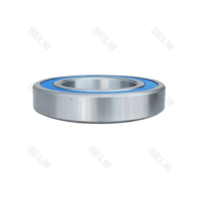 180216 підшипник