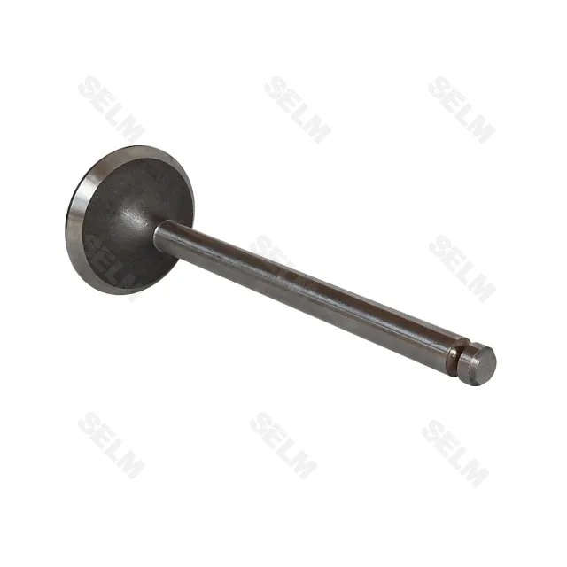 Клапан двигуна MF