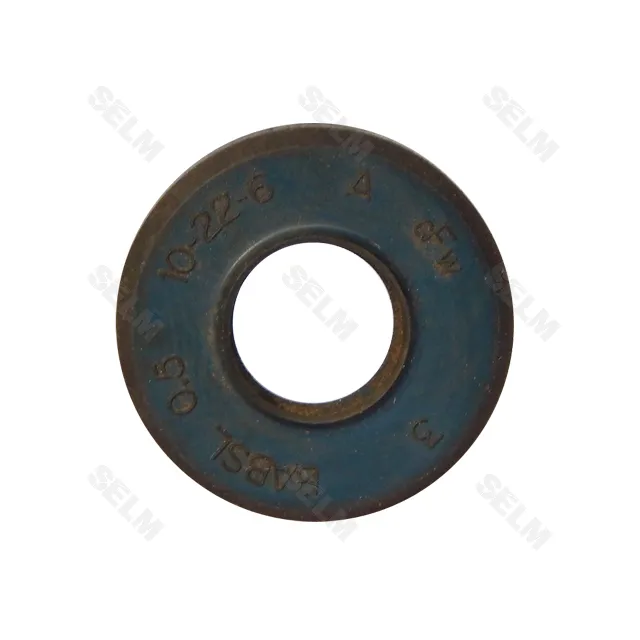 10-22-6/7 Сальник