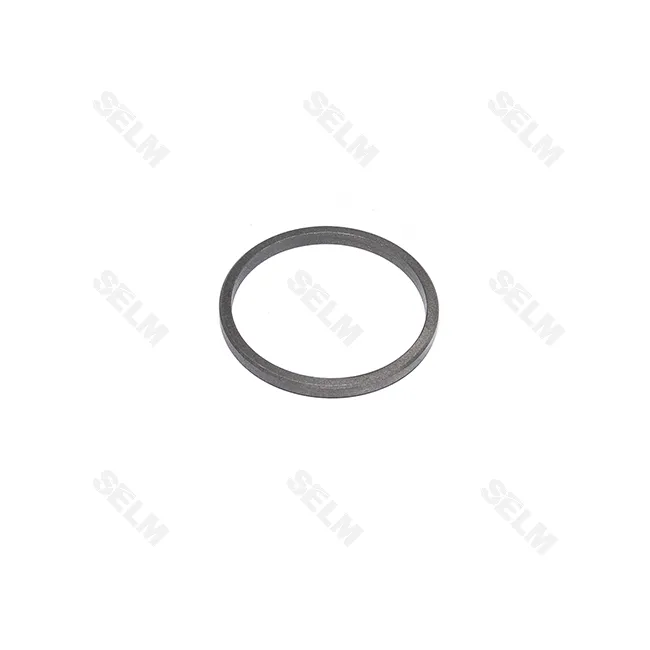 Ущільнення поршня Claas