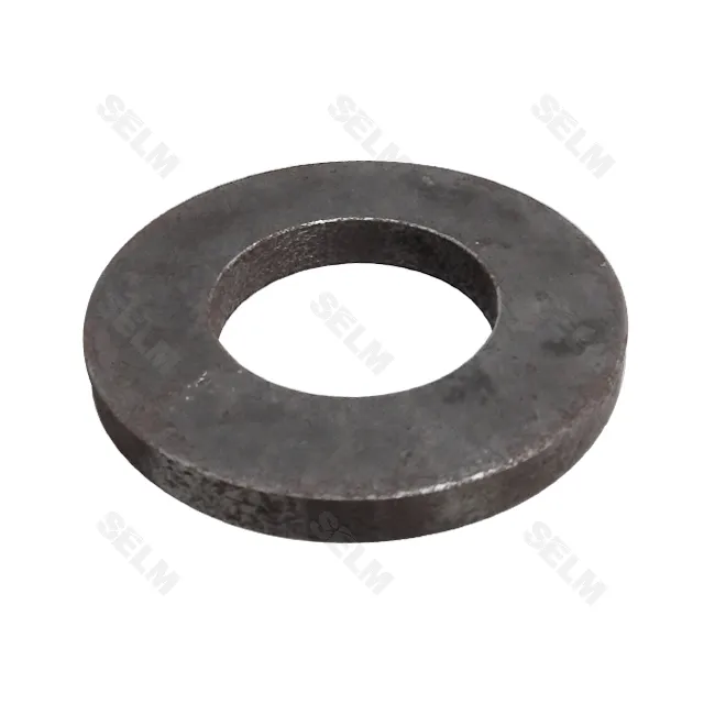 Шайба плоска GREGOIRE BESSON