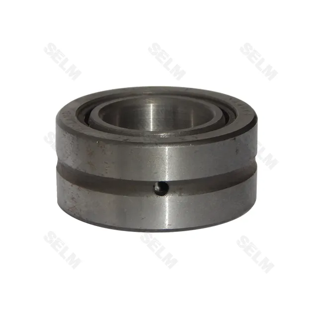 RNA4904-2RS (25x37x17) SKF Підшипник