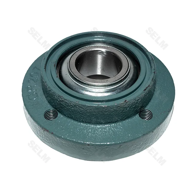 Підшипник в корпусі LSGR 207 TBS (NTE)