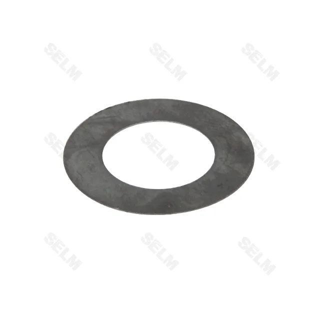 Шайба Gaspardo (Аналог)