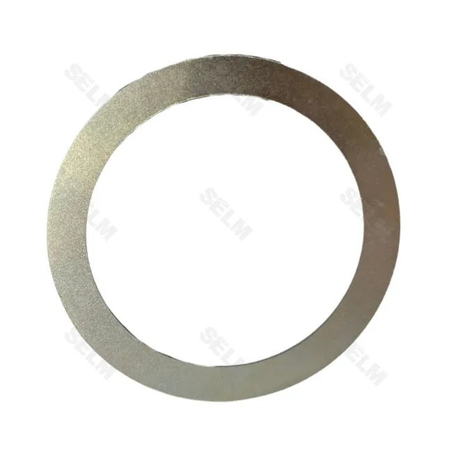 Шайба пильніка LEMKEN