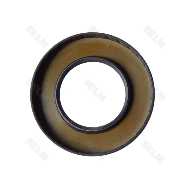 Сальник 60-110-12 Dichtomatik