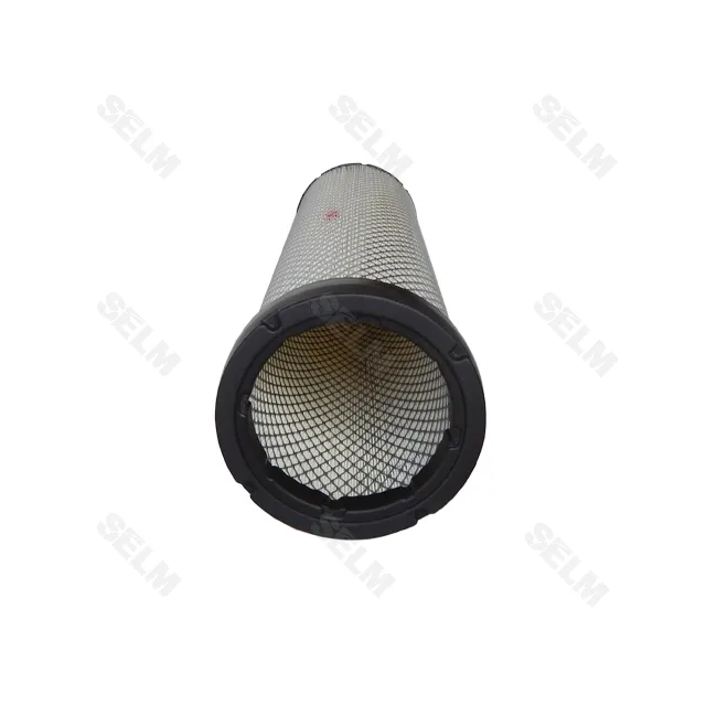 Фільтр повітряний малий RS3719 CASE