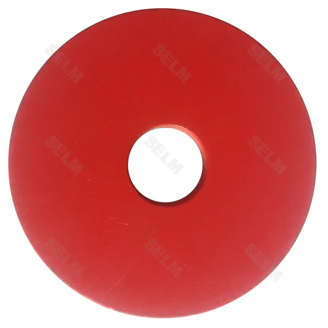 Шайба GREGOIRE BESSON