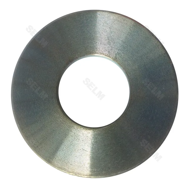 Шайба GREGOIRE BESSON