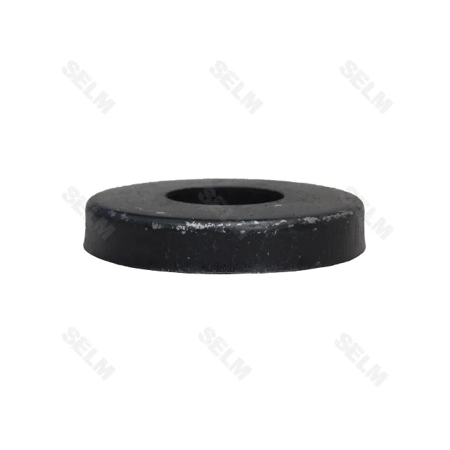 Ковпак (пильнік)