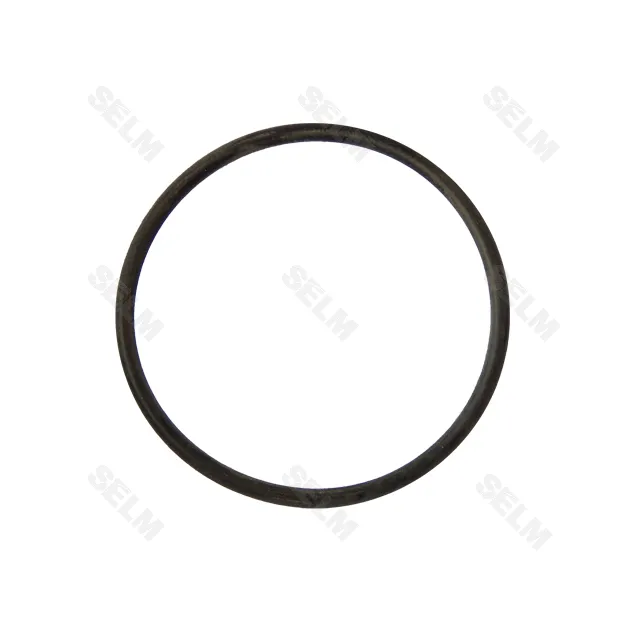 Ущільнення 24X2,5 -N Claas