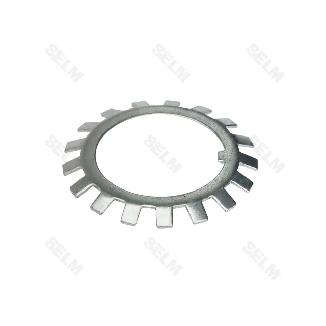 Шайба фіксуюча LEMKEN