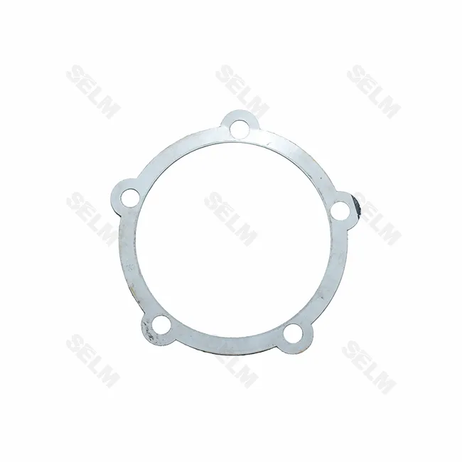 Прокладка GREGOIRE BESSON