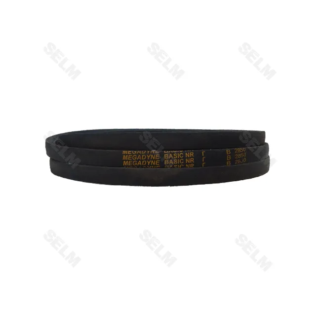В(Б) 2850 ремінь (MEGADYNE Basic/EXSELENT)