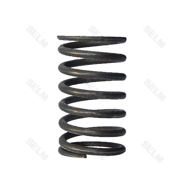 Пружини клапана - різні MF