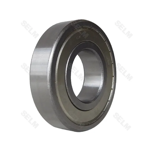 6311-2Z (55x120x29) CX