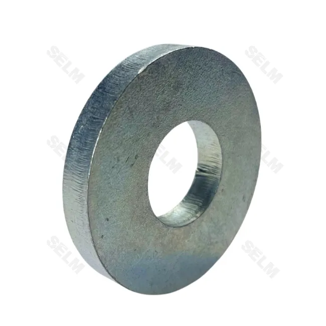 Шайба GREGOIRE BESSON