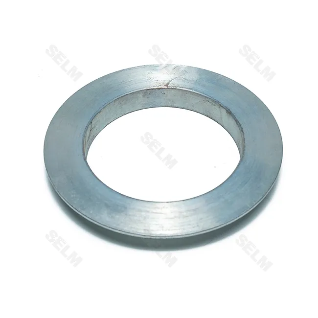 Шайба пильніка LEMKEN