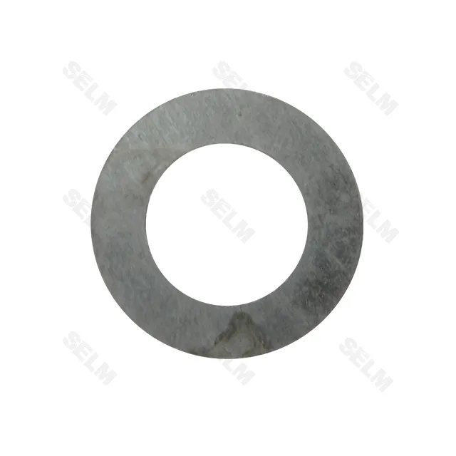 Шайба Gaspardo (Аналог)