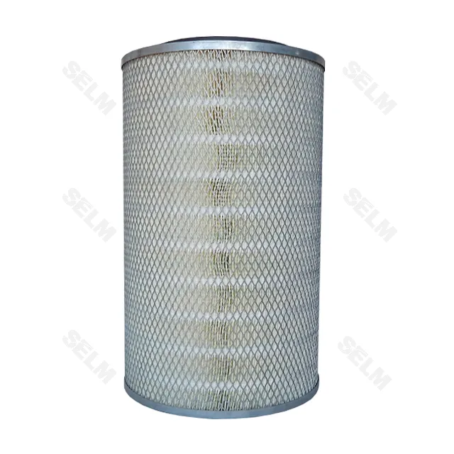 Фільтр повітряний вел. CASE