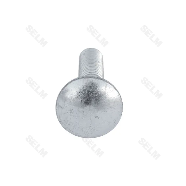 Болт М10  полукр.з квадр.головкою