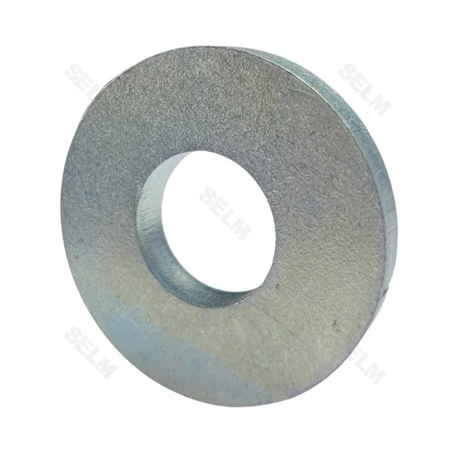 Шайба GREGOIRE BESSON