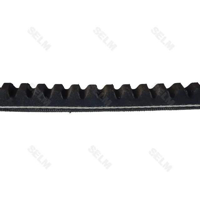 AVX 13-787 ремінь