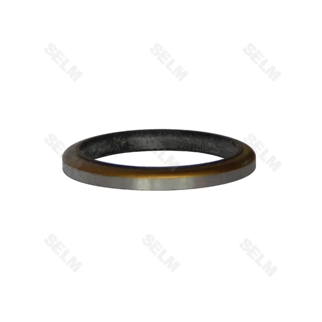 Ущільнення SKF HM14R Case