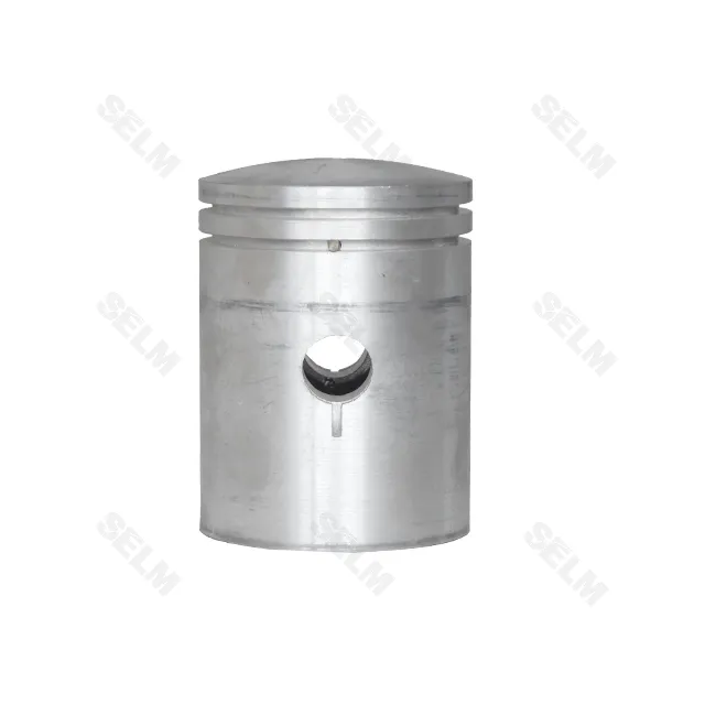 Поршень Р-2 ПД