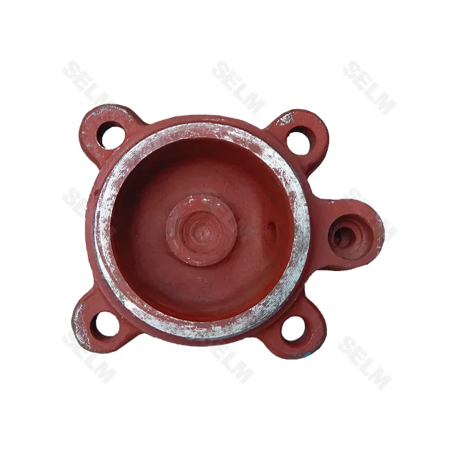 Кришка задня