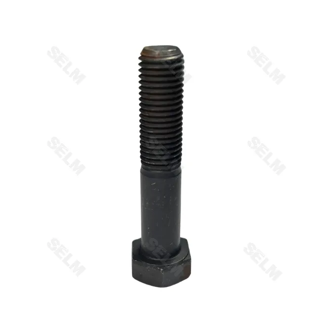 Болт M16*80-10.9 VOGEL NOOT